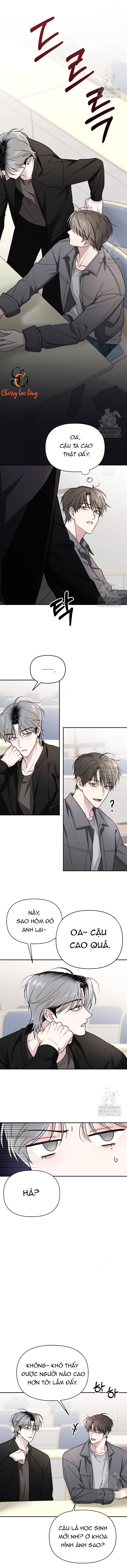 Chapter 196