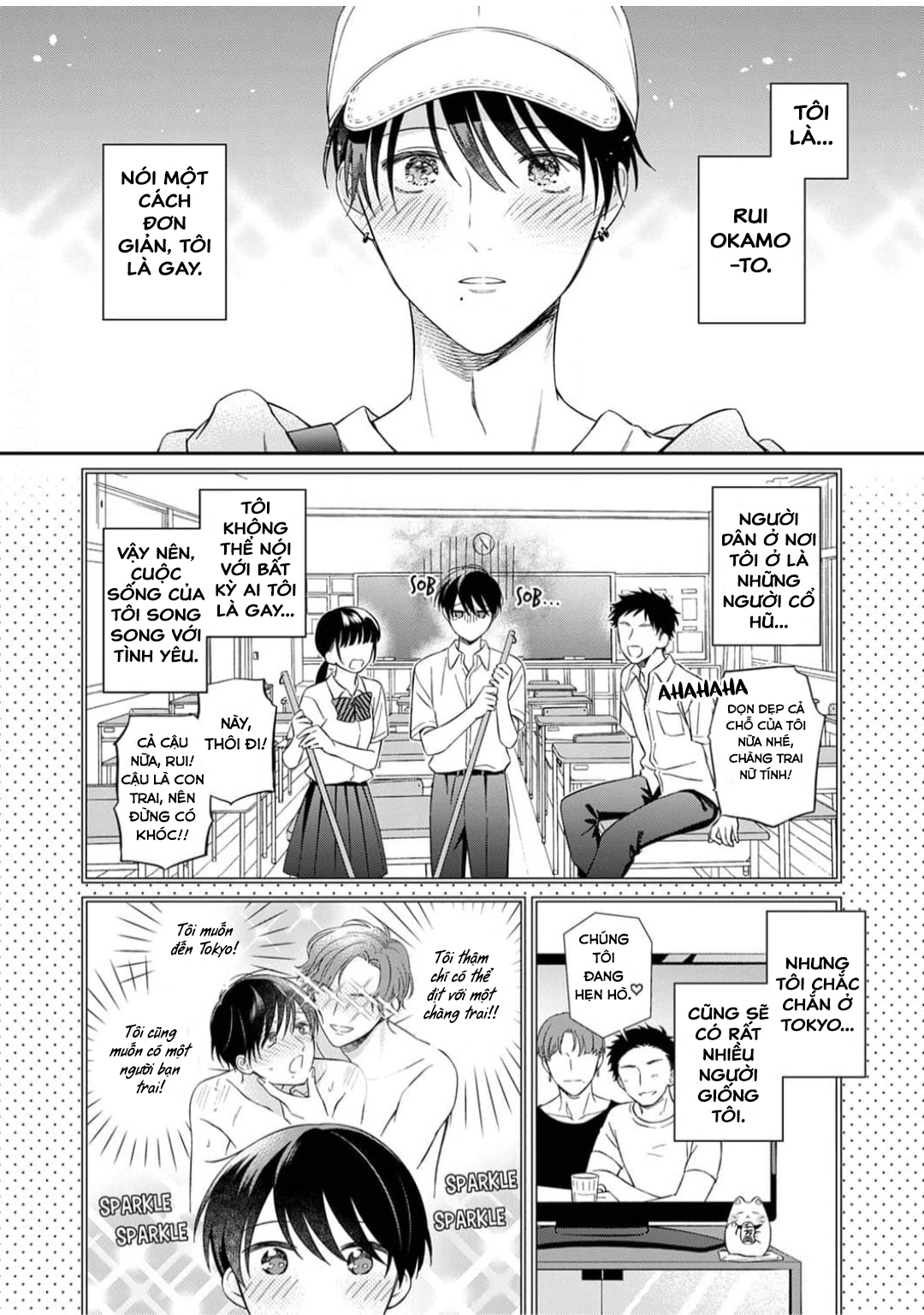 Chapter 236