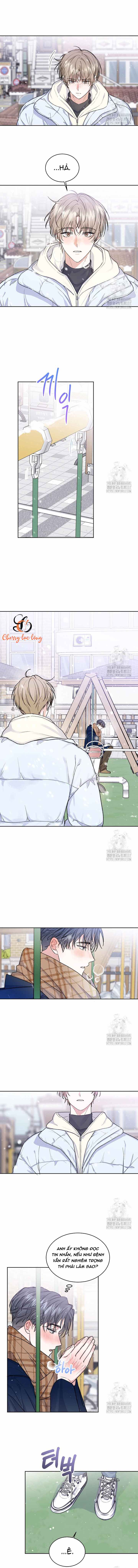 Chapter 291