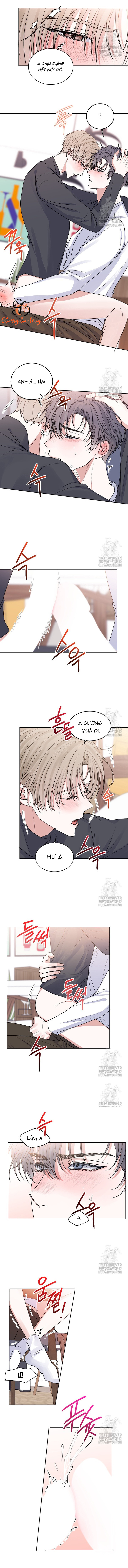 Chapter 293