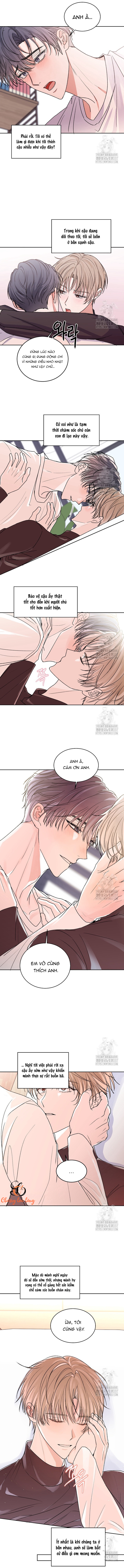 Chapter 293