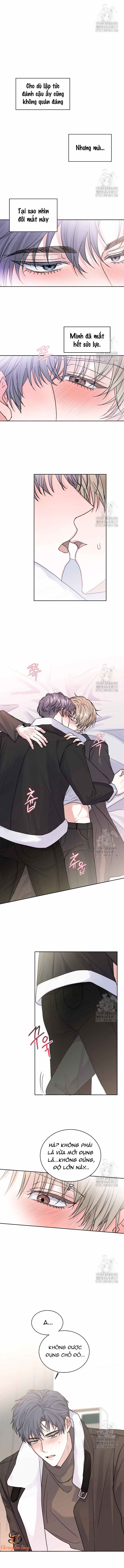 Chapter 289