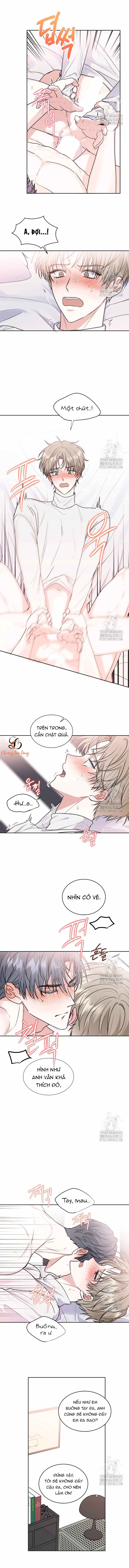 Chapter 289