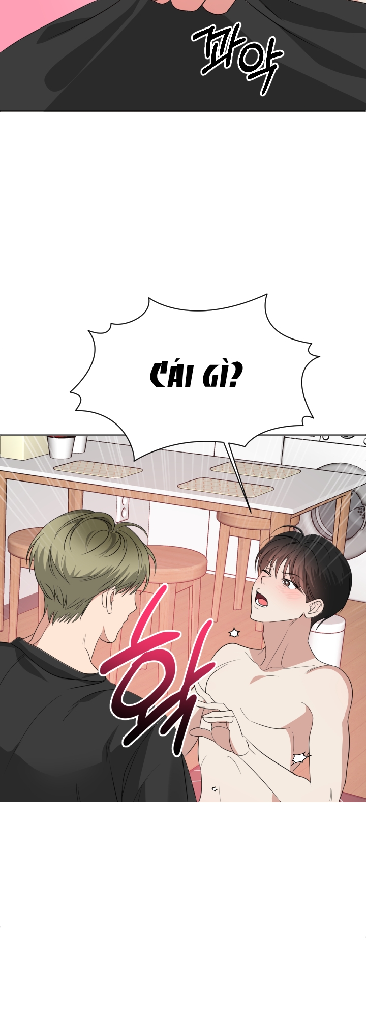 Chapter 295