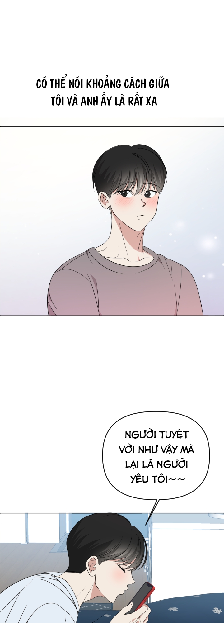 Chapter 295