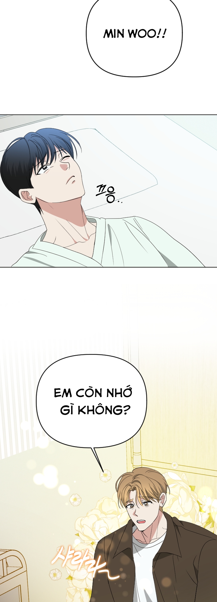 Chapter 295