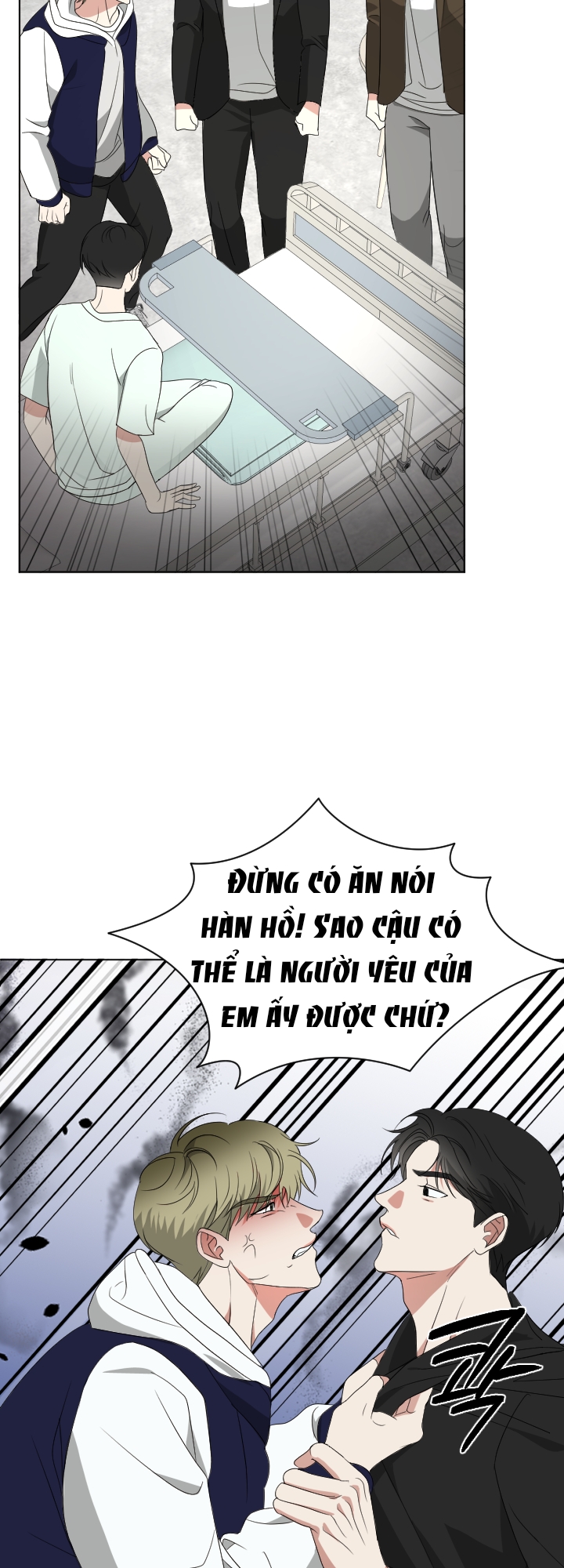 Chapter 295