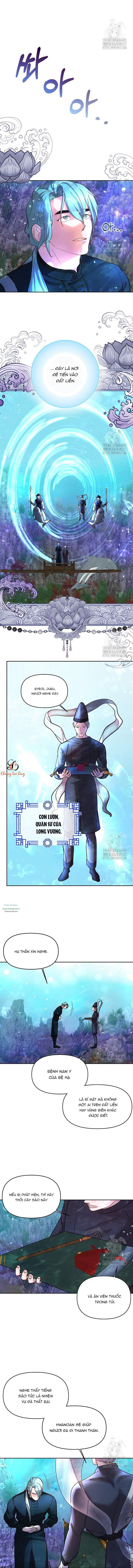 Chapter 443