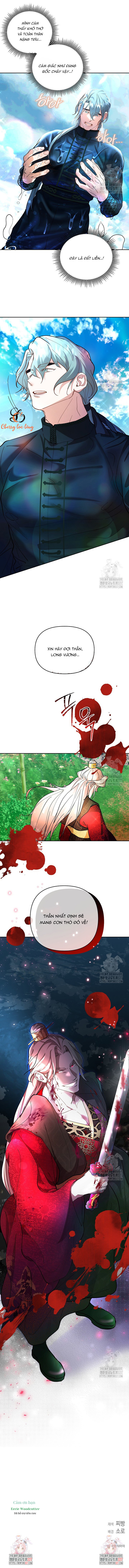 Chapter 443