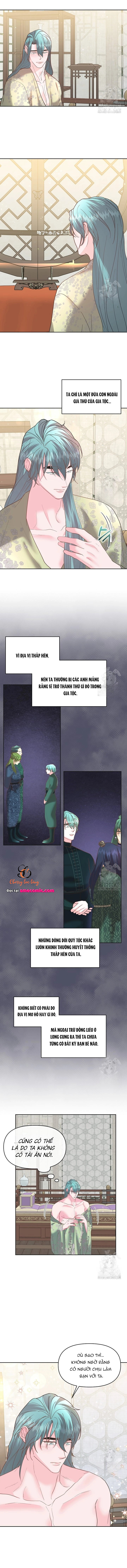 Chapter 455