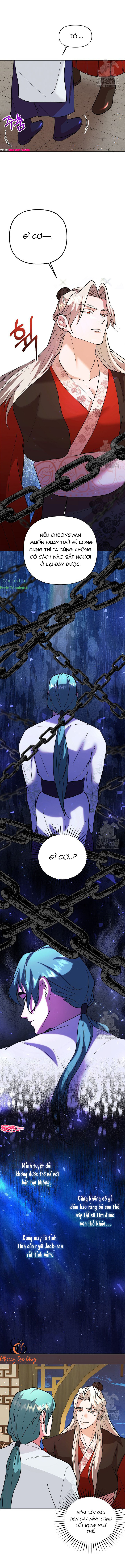 Chapter 446