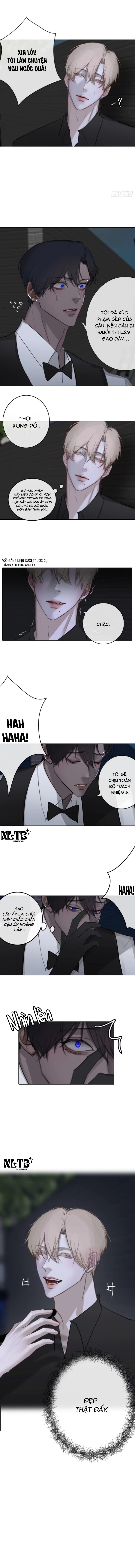 Chapter 553