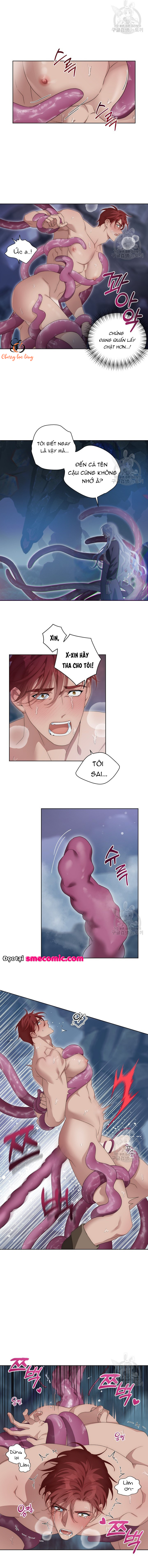 Chapter 1135