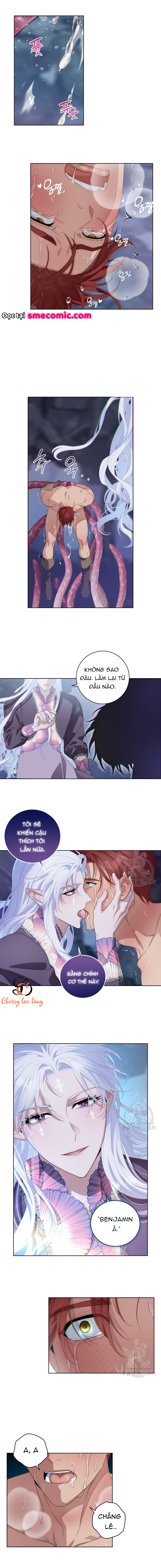 Chapter 1135