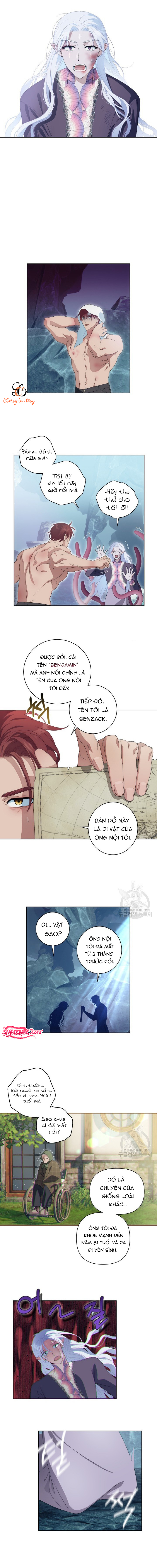 Chapter 1135