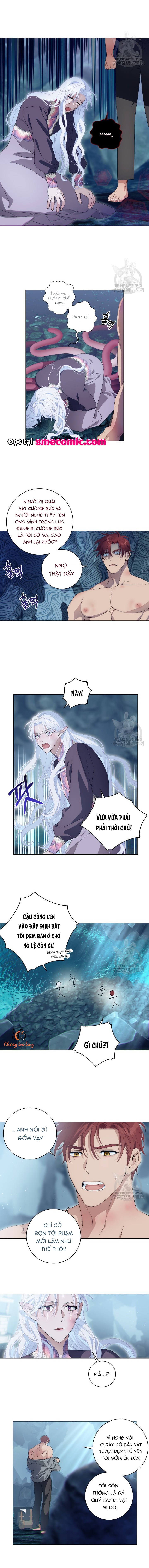 Chapter 1135