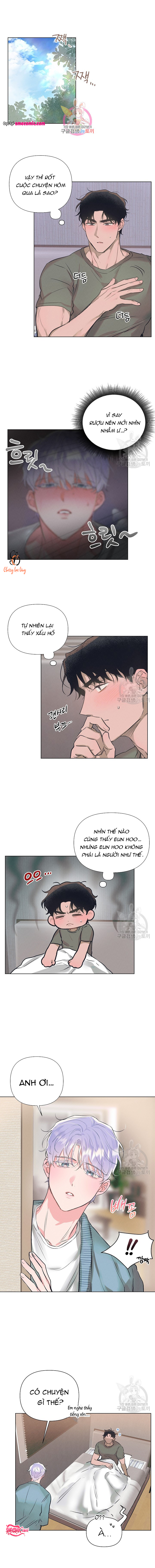 Chapter 981