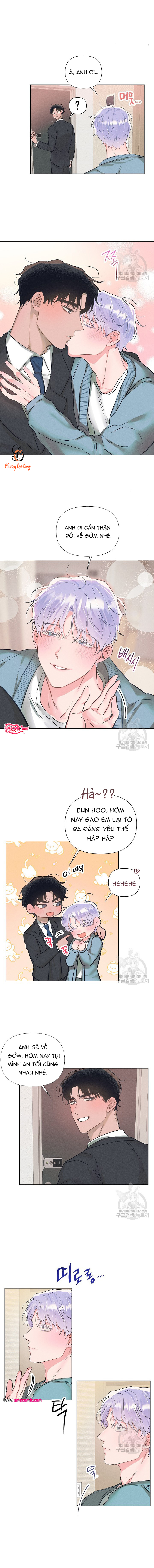 Chapter 981