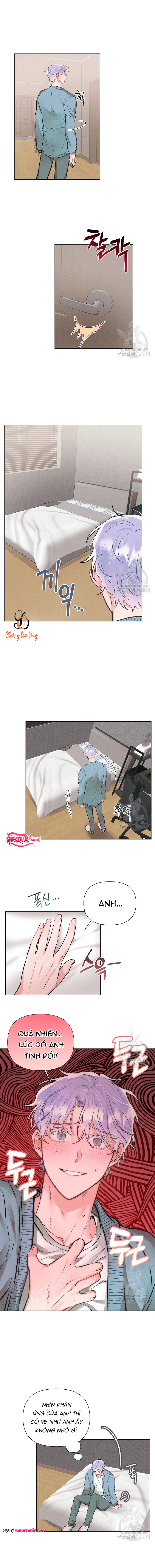 Chapter 981
