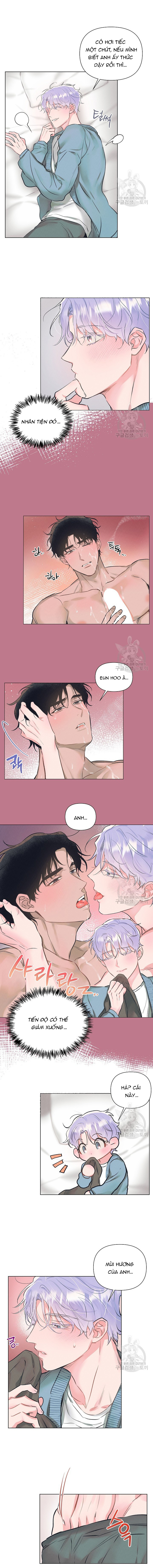 Chapter 981