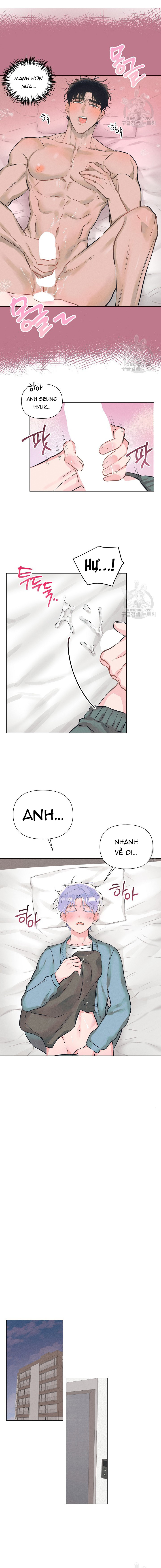 Chapter 981