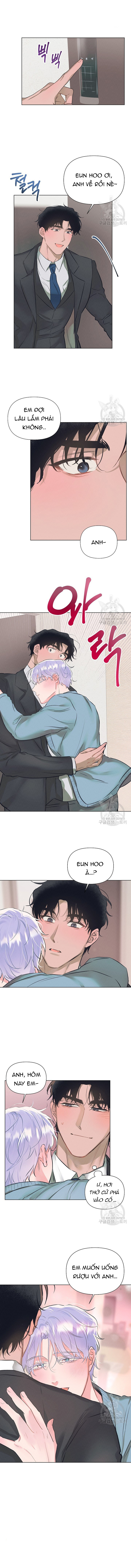 Chapter 981
