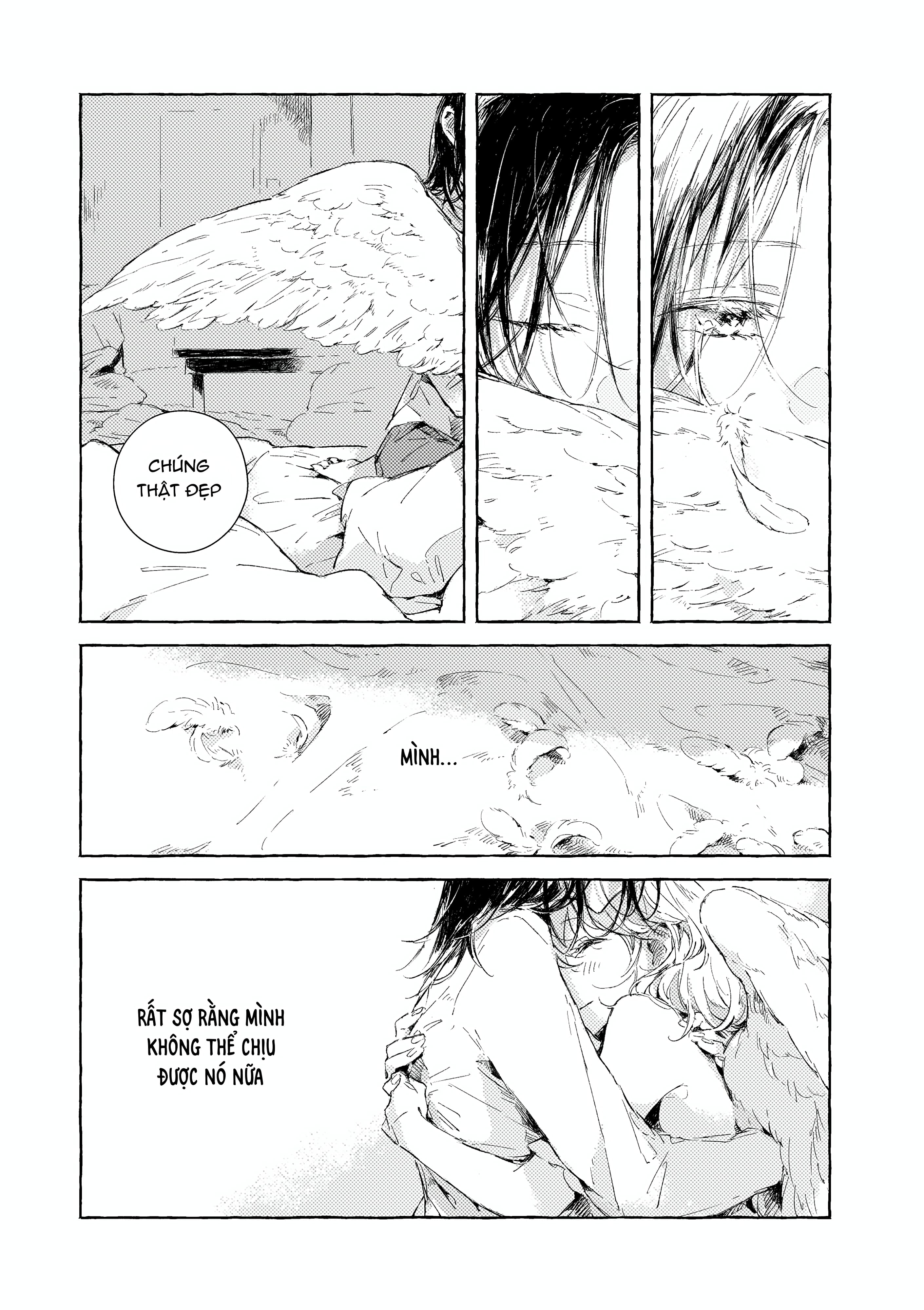 Chapter 1098