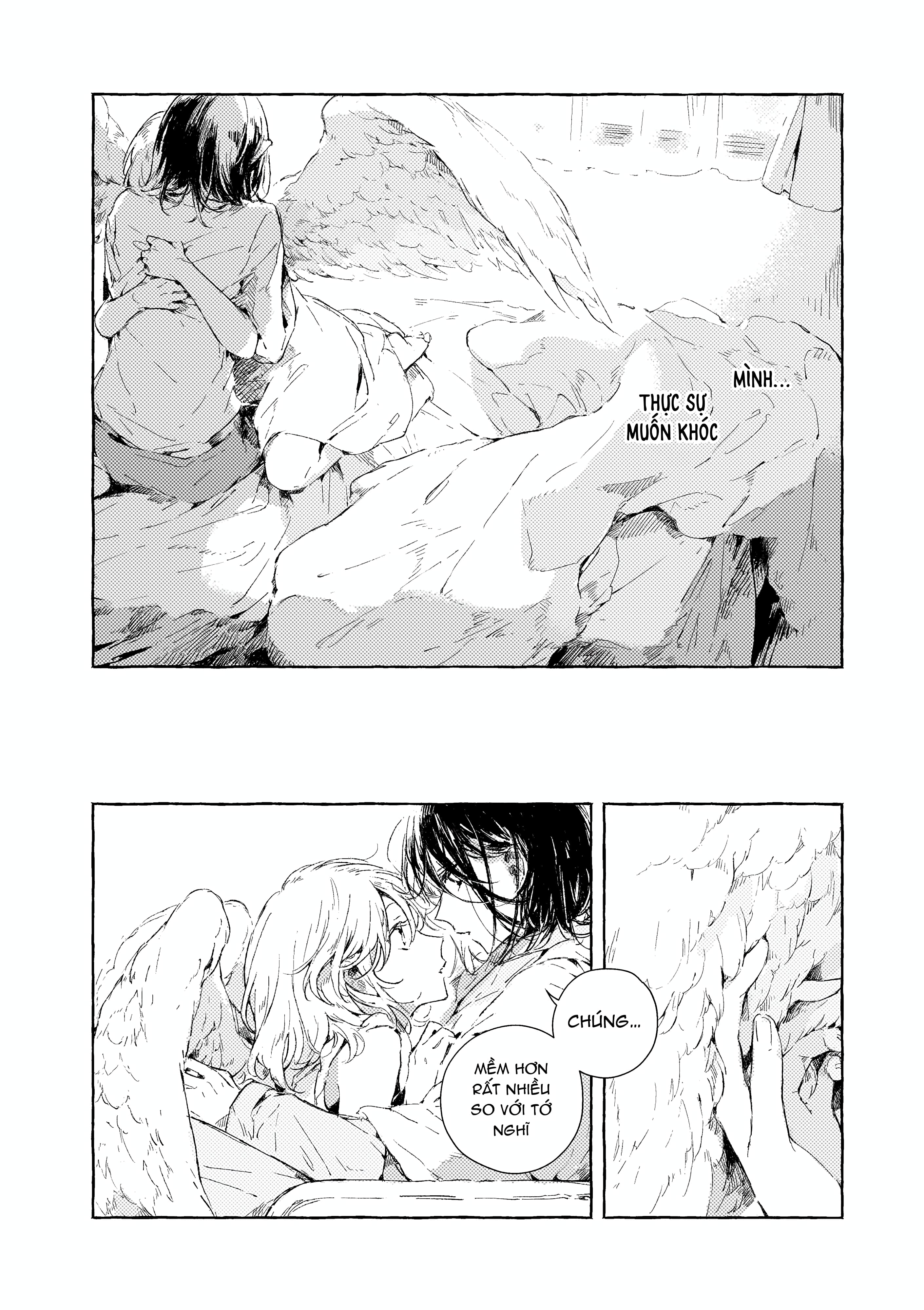Chapter 1098
