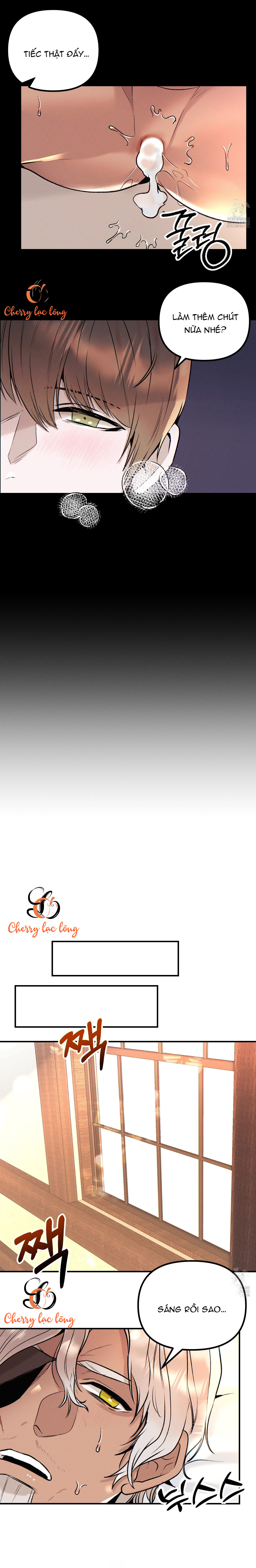 Chapter 1119