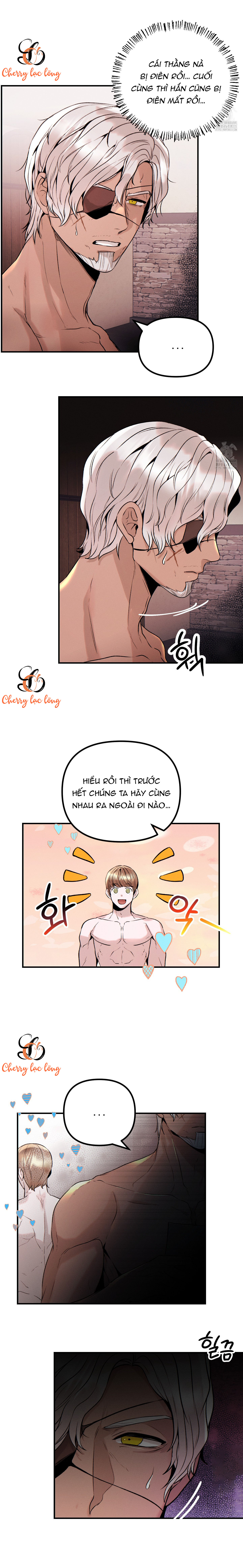 Chapter 1119